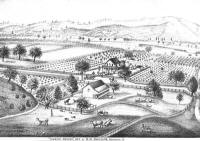 D. D. Phillips' Tzabaco Rancho ca. 1875